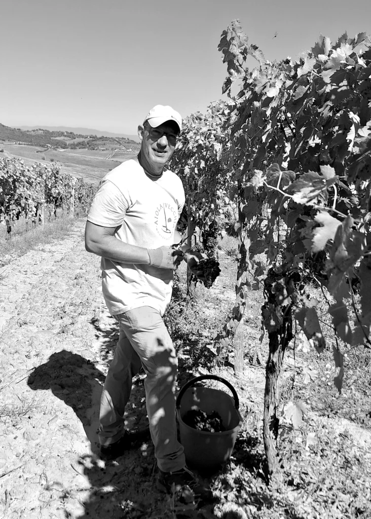 Aiola Vecchia Montepulciano