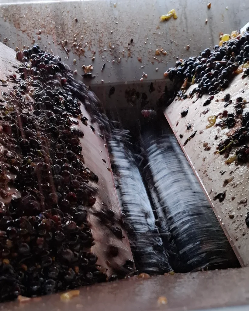 Aiola Vecchia Montepulciano