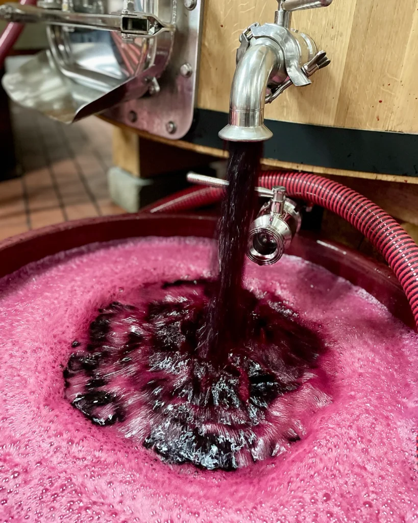 Aiola Vecchia Montepulciano