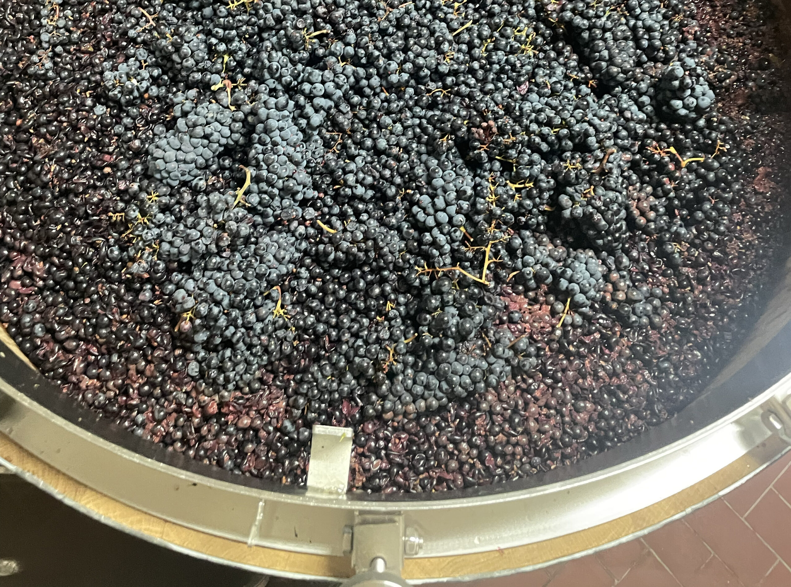 aiola_vecchia_montepulciano