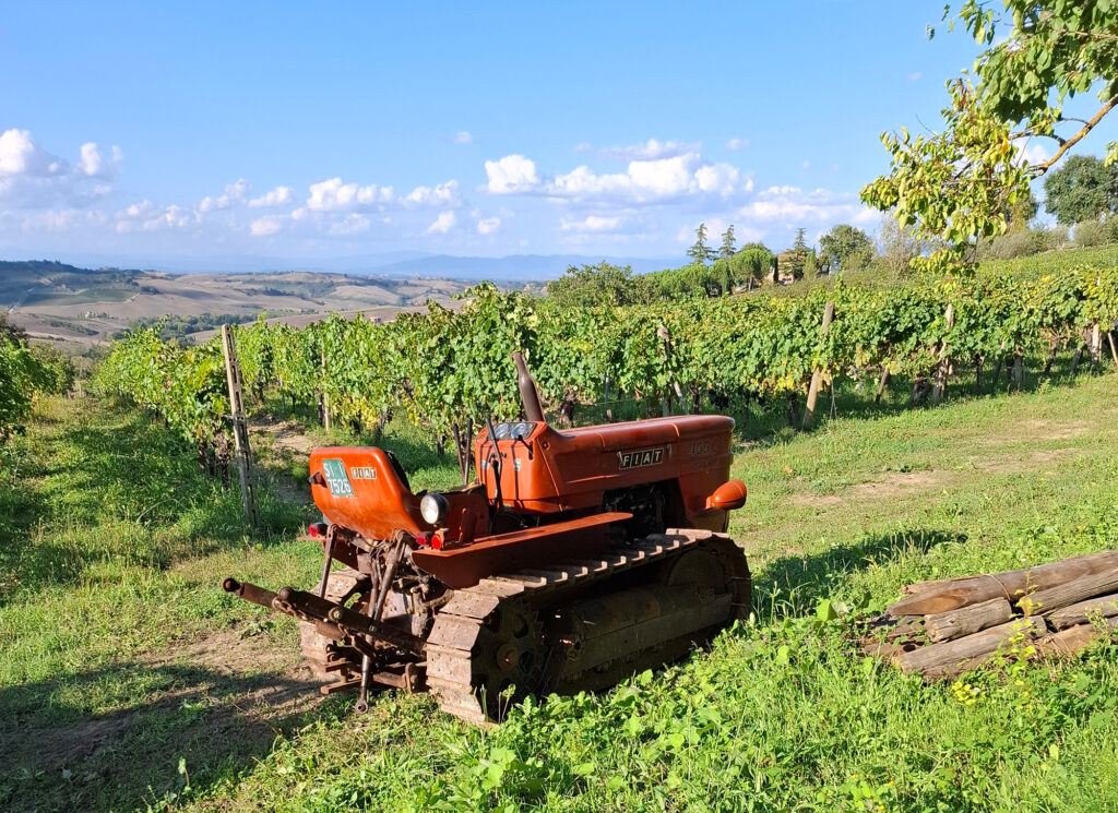 Aiola Vecchia Montepulciano