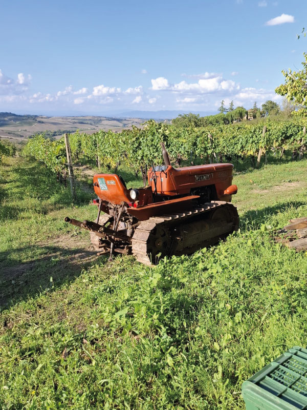 wine tour montepulciano